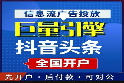 谷歌竞价广告与SEO结合的营销案例解析
